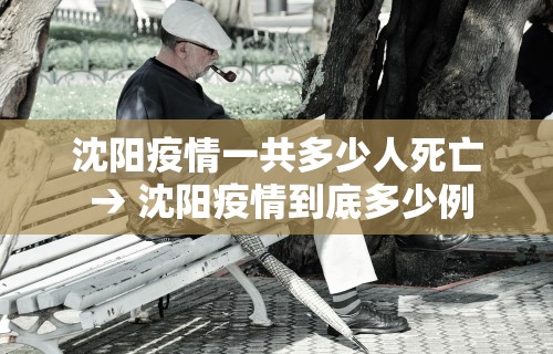 强力推荐“皮皮跑胡子开挂神器”开挂辅助软件教程
