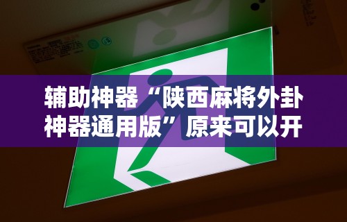 辅助神器“陕西麻将外卦神器通用版”原来可以开挂