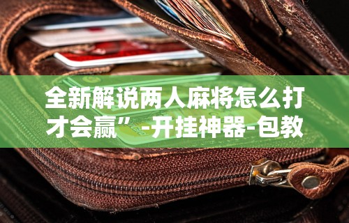 全新解说两人麻将怎么打才会赢”-开挂神器-包教包会