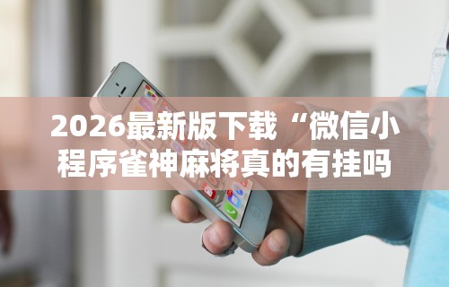 玩家辅助神器:“微乐麻将到底有没有开挂功能”开挂(透视)辅助教程