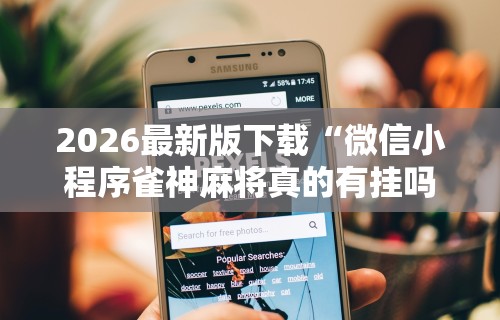 玩家辅助神器:“微乐麻将到底有没有开挂功能”开挂(透视)辅助教程
