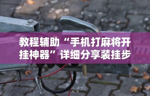 教程辅助“手机打麻将开挂神器”详细分享装挂步骤