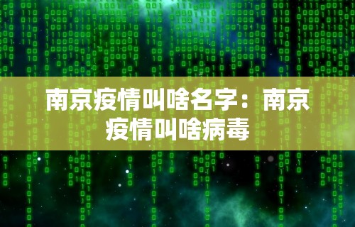 必看教程“微信跑胡子有挂么”原来可以开挂