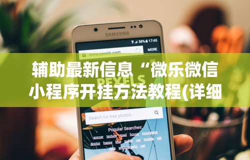 辅助最新信息“微乐微信小程序开挂方法教程(详细透视开挂教程)