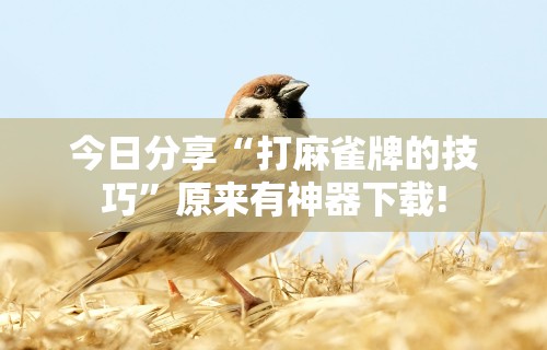 [教程经验]“跑得快免费开挂神器”开挂(透视)辅助