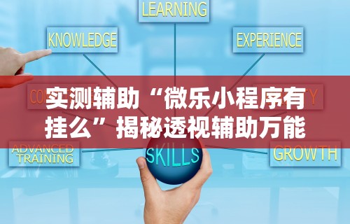 实测辅助“微乐小程序有挂么”揭秘透视辅助万能挂用法