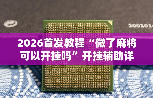 玩家热议“有人买过大唐麻将的挂吗		”可以开挂作弊