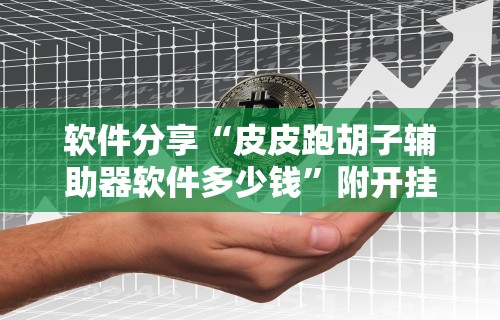 软件分享“皮皮跑胡子辅助器软件多少钱	”附开挂脚本详细教程