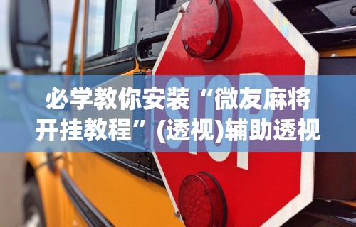 必学教你安装“微友麻将开挂教程”(透视)辅助透视教程