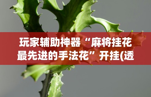 安装程序教程“好运休闲棋牌有没有挂”通用版下载教程