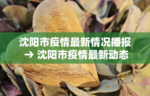 辅助挂机软件“微乐麻将可以打假不	”开挂辅助教程
