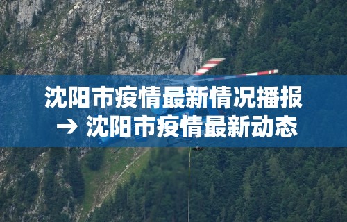 秒懂经验“微乐麻将有外挂吗”科技辅助神器手机版
