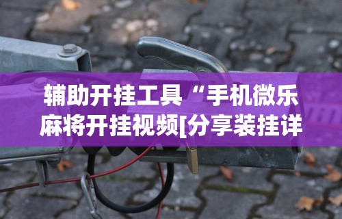 辅助开挂工具“手机微乐麻将开挂视频[分享装挂详细步骤]