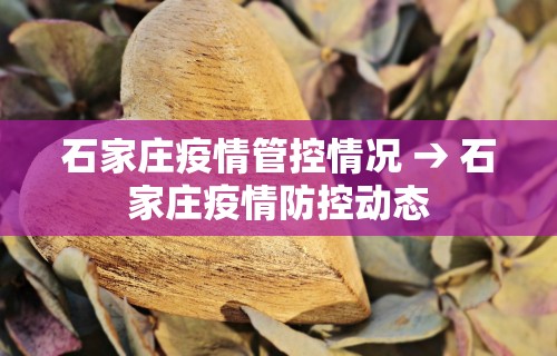 【终于出现】“终于明白手机麻将输赢规律”-必赢神器安装
