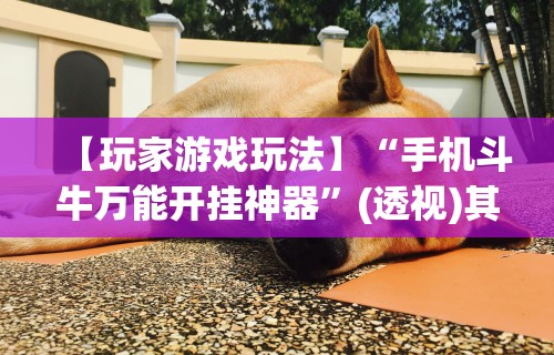 教程开挂辅助“边锋掼蛋有假吗	”掌握辅助功能必胜规则