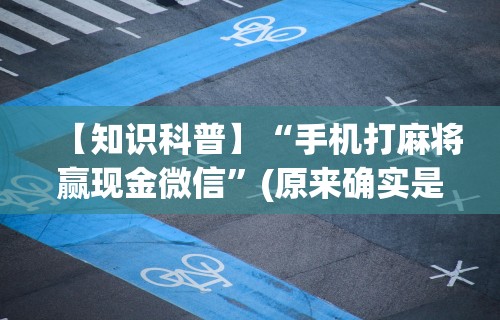 辅助开挂工具“小程序微乐四川麻将必赢神器”(太坑了果然有挂)