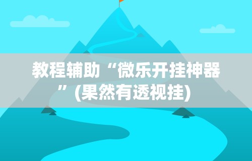 教程辅助“微乐开挂神器”(果然有透视挂) 