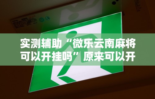 最新教程“微乐麻将斗地主有挂吗”详细外挂安装步骤
