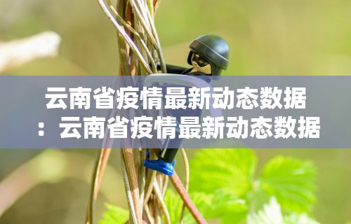 一分钟讲解“天天卡五星可以开挂吗”分享用挂教程