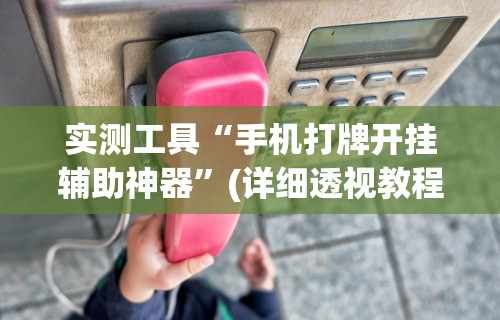 盼盼分享“网络棋牌有开挂的吗?_游戏_玩家_工具