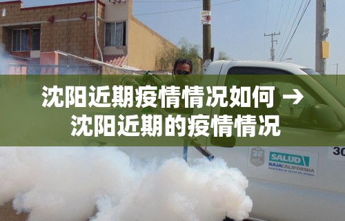 最新引进“微乐麻将怎么免费开挂”(原来确实是有挂)