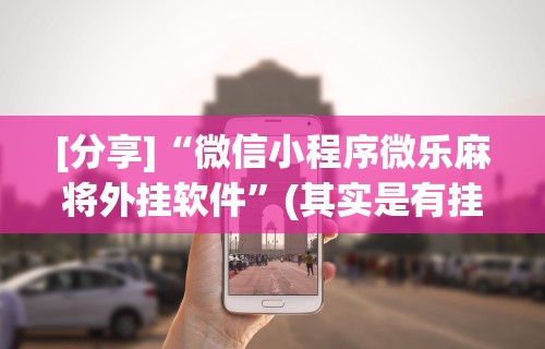 [分享]“微信小程序微乐麻将外挂软件	”(其实是有挂)