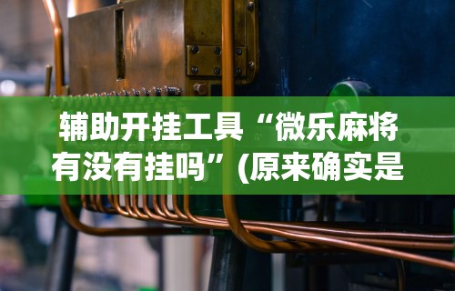 最新一款“川麻四川麻将有挂吗”(透视)开挂辅助脚本+详细开挂安装教程