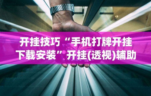 简单学会“四川麻将bug”附透视挂详细教程