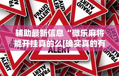 大家普及一下“亲友圈可以开挂吗”(原来确实是有插件)