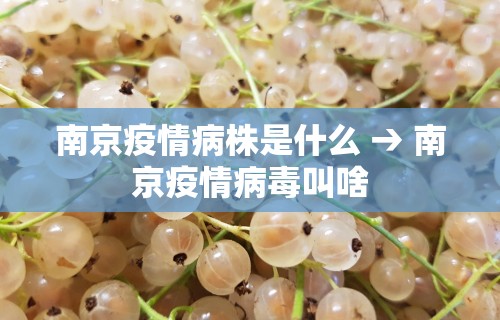 分享实测攻略“指尖四川麻将有挂没	”详细分享装挂