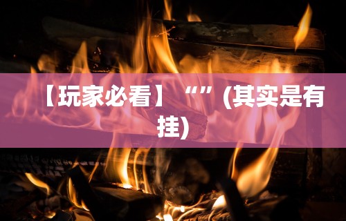 【玩家必看】“	”(其实是有挂)