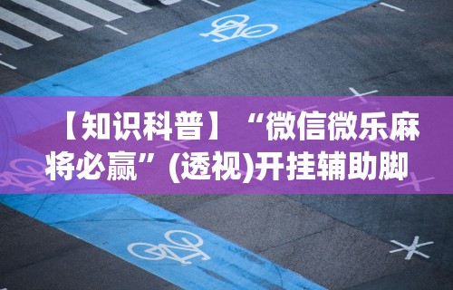 【总结文章“蜀山四川麻将有挂吗”(曝光透视必备猫腻)