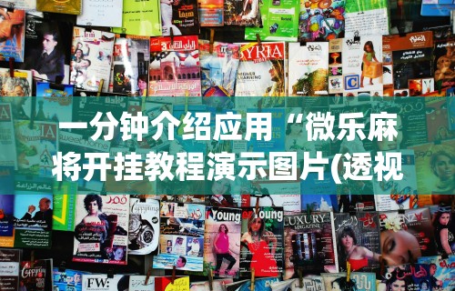 独家脚本实测“微乐海南麻将小程序必赢神器”附开挂脚本详细步骤