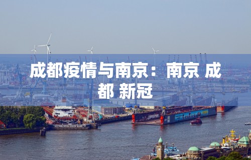 专家分析“掼蛋如何赢”开挂(透视)辅助教程