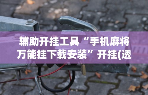 辅助开挂工具“手机麻将万能挂下载安装”开挂(透视)辅助教程
