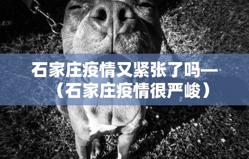 科技分享“开运麻将哪里有透视挂功能”其实确实有挂