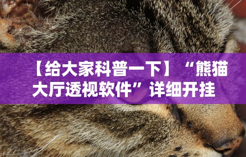 【给大家科普一下】“熊猫大厅透视软件”详细开挂教程
