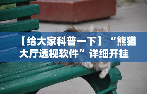 【给大家科普一下】“熊猫大厅透视软件”详细开挂教程