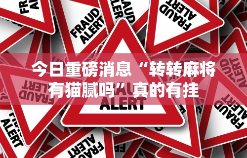 今日重磅消息“转转麻将有猫腻吗”真的有挂