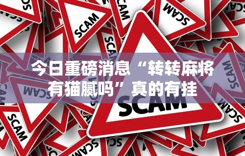 今日重磅消息“转转麻将有猫腻吗”真的有挂