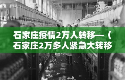 使用分享!APP逗娱碰胡可以开挂吗？”揭秘透视辅助万能挂用法