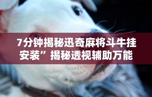 辅助神器“边锋陕西麻将有挂吗”科技辅助神器手机版