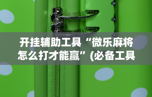 开挂辅助工具“微乐麻将怎么打才能赢	”(必备工具)辅助教学