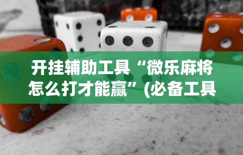 开挂辅助工具“微乐麻将怎么打才能赢”(必备工具)辅助教学