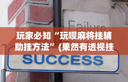玩家必读“微乐安徽麻将怎么开挂吗”科技辅助神器手机版教程