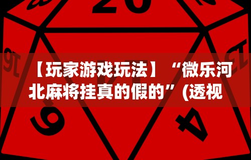 【玩家游戏玩法】“微乐河北麻将挂真的假的	”(透视挂)辅助透视教程