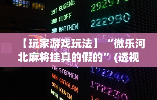 【玩家游戏玩法】“微乐河北麻将挂真的假的”(透视挂)辅助透视教程