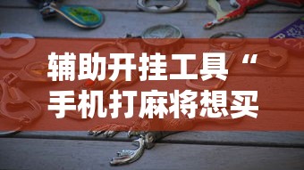 最新教程“金花万能开挂器”(透视挂)辅助透视教程