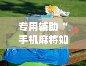专用辅助“手机麻将如何打才能赢”(原来确实是有挂) 