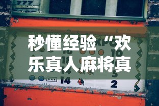 教程辅助“微乐河南麻将怎么提高胜率”详细分享装挂步骤